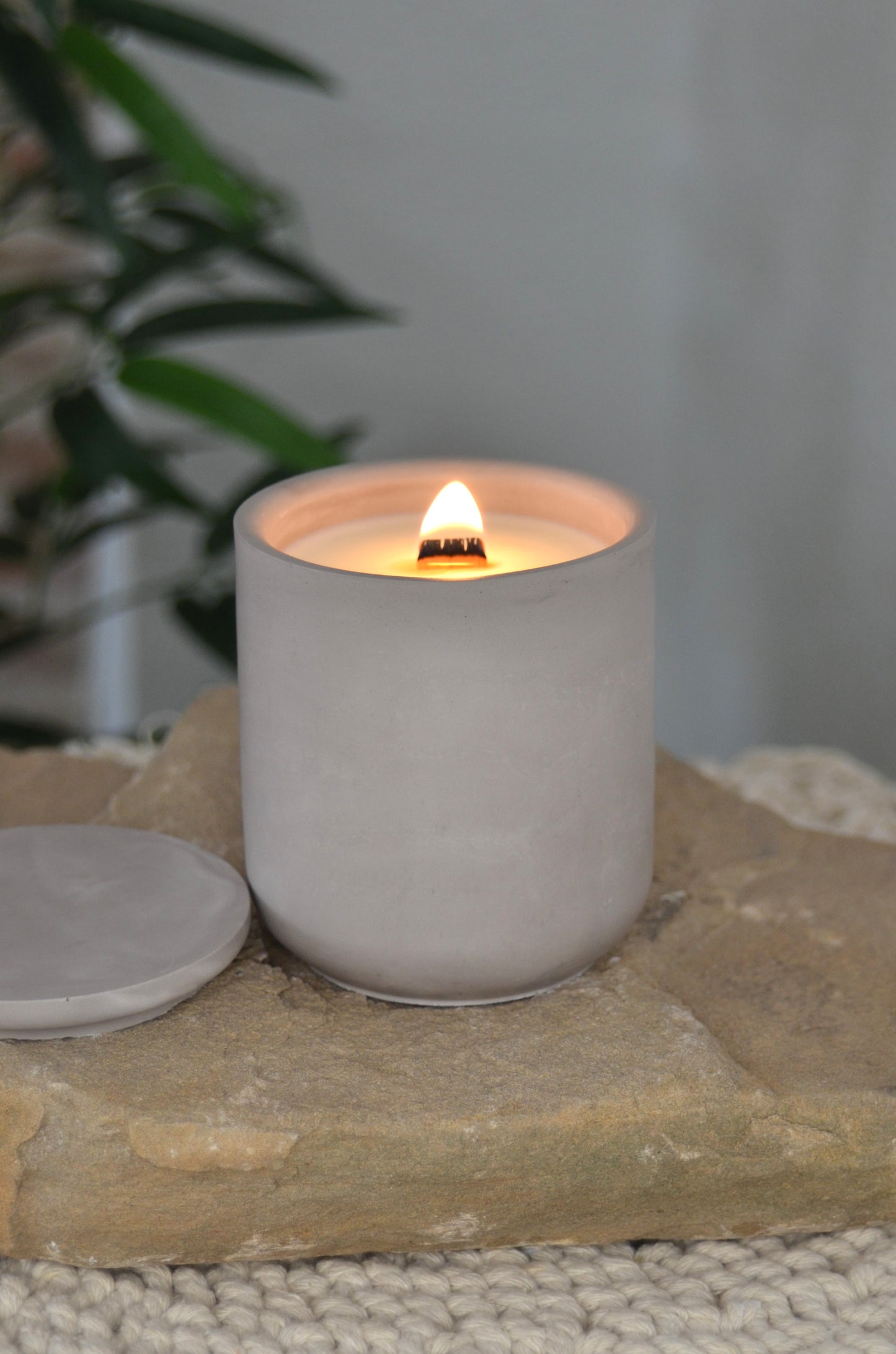 Vela Basic - Pure Calm